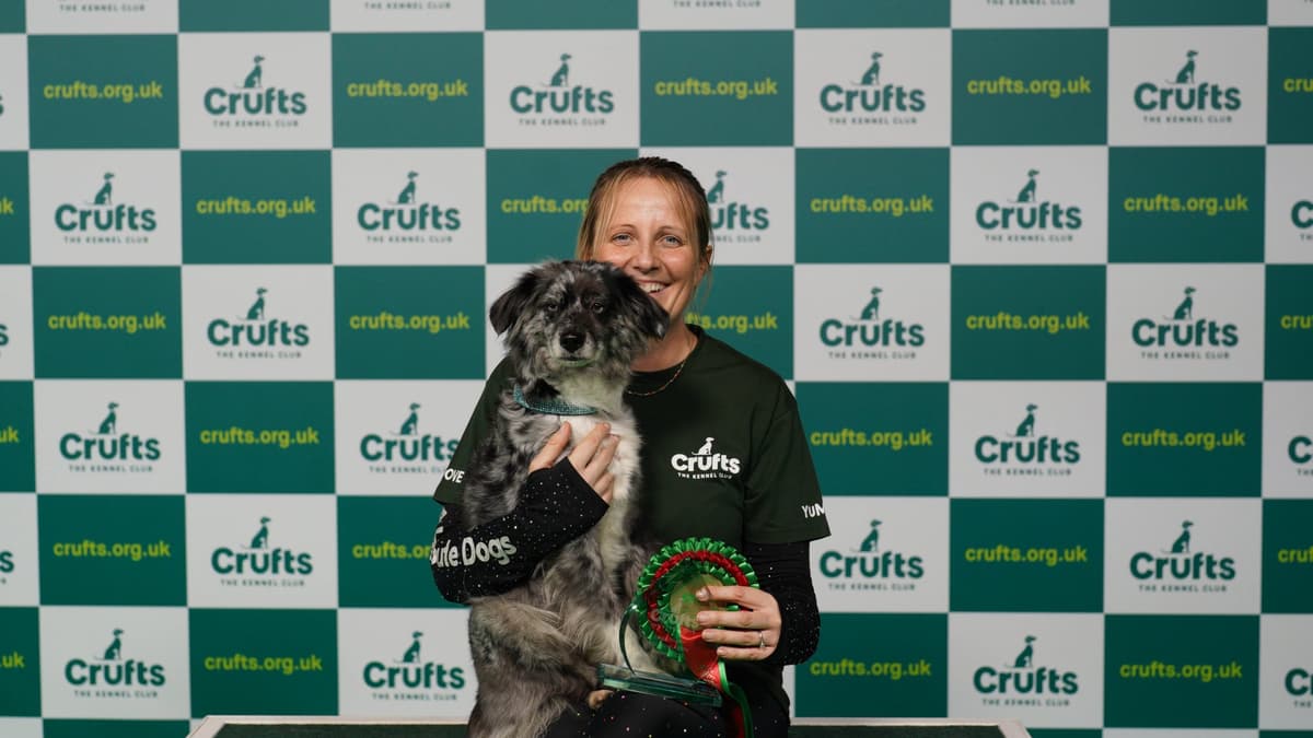 Okehampton agility star crowned winner at Crufts tavistocktoday.co.uk